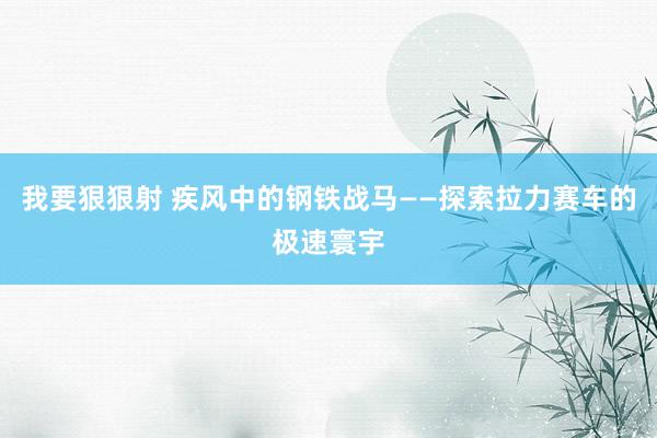 我要狠狠射 疾风中的钢铁战马——探索拉力赛车的极速寰宇