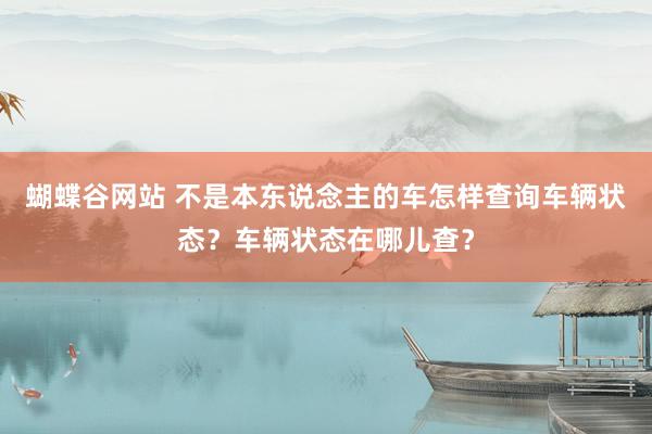 蝴蝶谷网站 不是本东说念主的车怎样查询车辆状态？车辆状态在哪儿查？