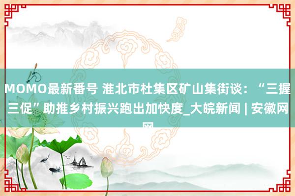 MOMO最新番号 淮北市杜集区矿山集街谈：“三握三促”助推乡村振兴跑出加快度_大皖新闻 | 安徽网