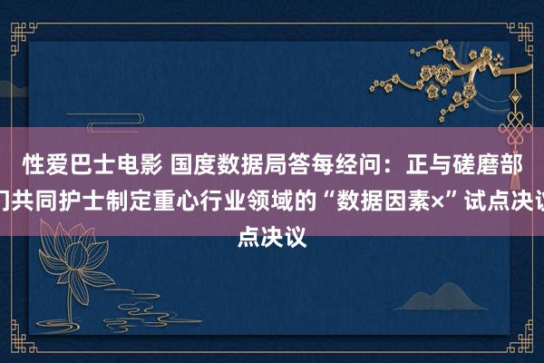 性爱巴士电影 国度数据局答每经问：正与磋磨部门共同护士制定重心行业领域的“数据因素×”试点决议