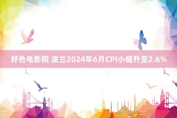 好色电影院 波兰2024年6月CPI小幅升至2.6%