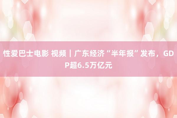 性爱巴士电影 视频｜广东经济“半年报”发布，GDP超6.5万亿元