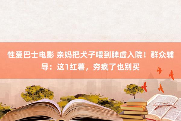 性爱巴士电影 亲妈把犬子喂到脾虚入院！群众辅导：这1红薯，穷疯了也别买