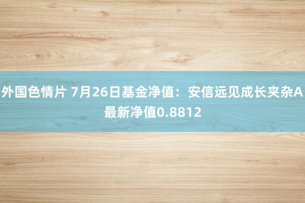 外国色情片 7月26日基金净值：安信远见成长夹杂A最新净值0.8812