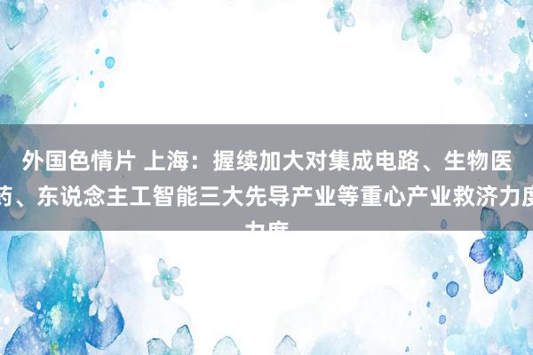 外国色情片 上海：握续加大对集成电路、生物医药、东说念主工智能三大先导产业等重心产业救济力度