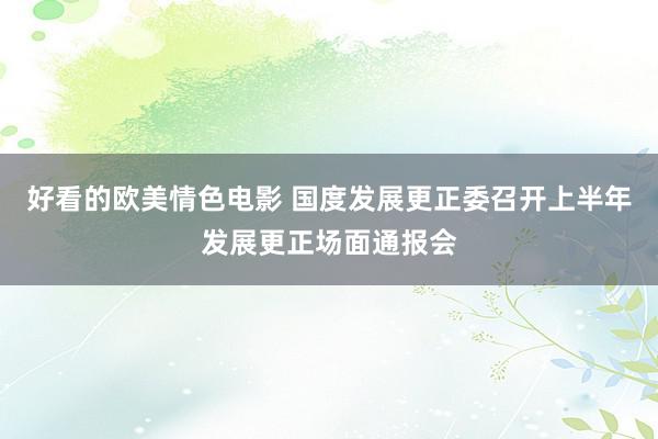 好看的欧美情色电影 国度发展更正委召开上半年发展更正场面通报会