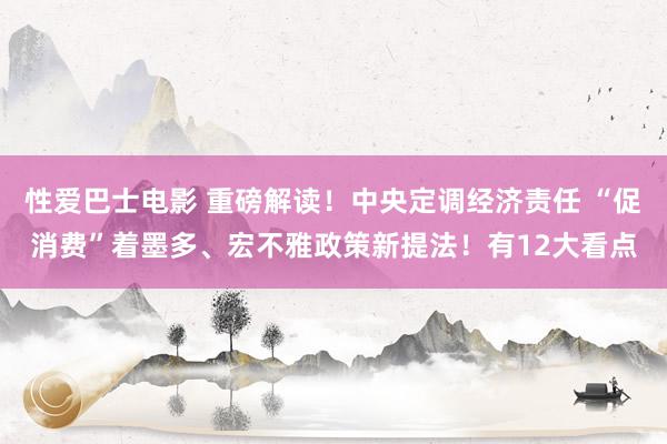 性爱巴士电影 重磅解读！中央定调经济责任 “促消费”着墨多、宏不雅政策新提法！有12大看点