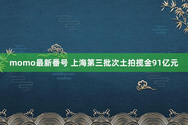 momo最新番号 上海第三批次土拍揽金91亿元