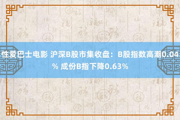 性爱巴士电影 沪深B股市集收盘：B股指数高潮0.04% 成份B指下降0.63%