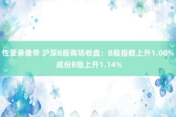 性爱录像带 沪深B股商场收盘：B股指数上升1.00% 成份B指上升1.14%