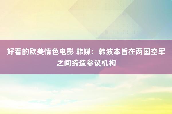 好看的欧美情色电影 韩媒：韩波本旨在两国空军之间缔造参议机构