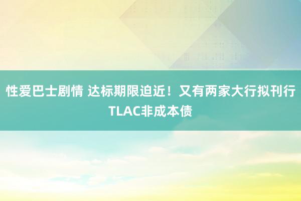 性爱巴士剧情 达标期限迫近！又有两家大行拟刊行TLAC非成本债