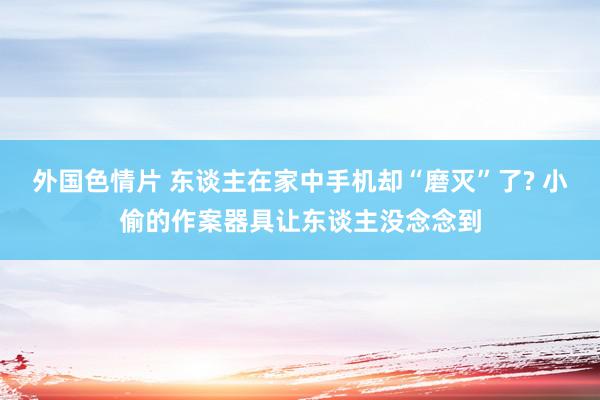 外国色情片 东谈主在家中手机却“磨灭”了? 小偷的作案器具让东谈主没念念到