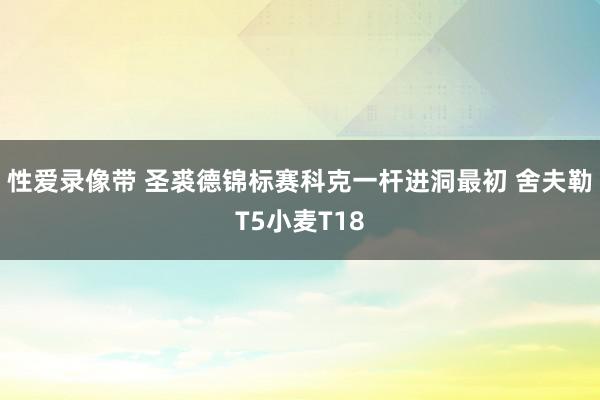 性爱录像带 圣裘德锦标赛科克一杆进洞最初 舍夫勒T5小麦T18