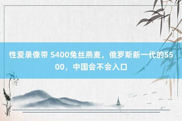 性爱录像带 S400兔丝燕麦，俄罗斯新一代的S500，中国会不会入口