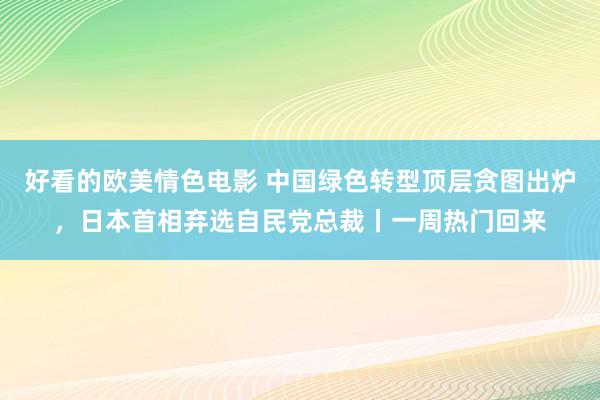 好看的欧美情色电影 中国绿色转型顶层贪图出炉，日本首相弃选自民党总裁丨一周热门回来