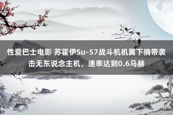 性爱巴士电影 苏霍伊Su-57战斗机机翼下捎带袭击无东说念主机，速率达到0.6马赫