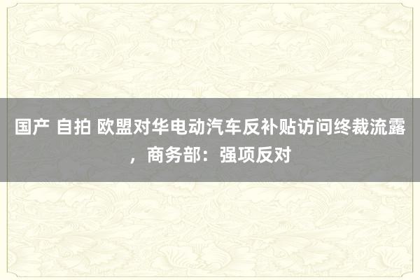 国产 自拍 欧盟对华电动汽车反补贴访问终裁流露，商务部：强项反对