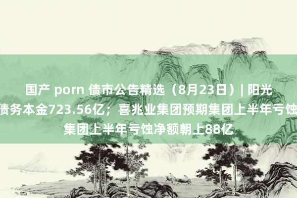 国产 porn 债市公告精选（8月23日）| 阳光城到期未支付债务本金723.56亿；喜兆业集团预期集团上半年亏蚀净额朝上88亿