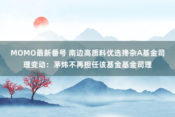 MOMO最新番号 南边高质料优选搀杂A基金司理变动：茅炜不再担任该基金基金司理