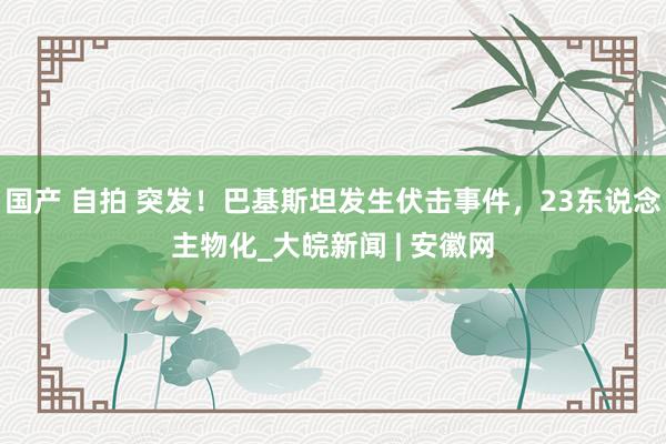 国产 自拍 突发！巴基斯坦发生伏击事件，23东说念主物化_大皖新闻 | 安徽网